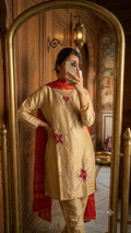 Traditional salwar suits